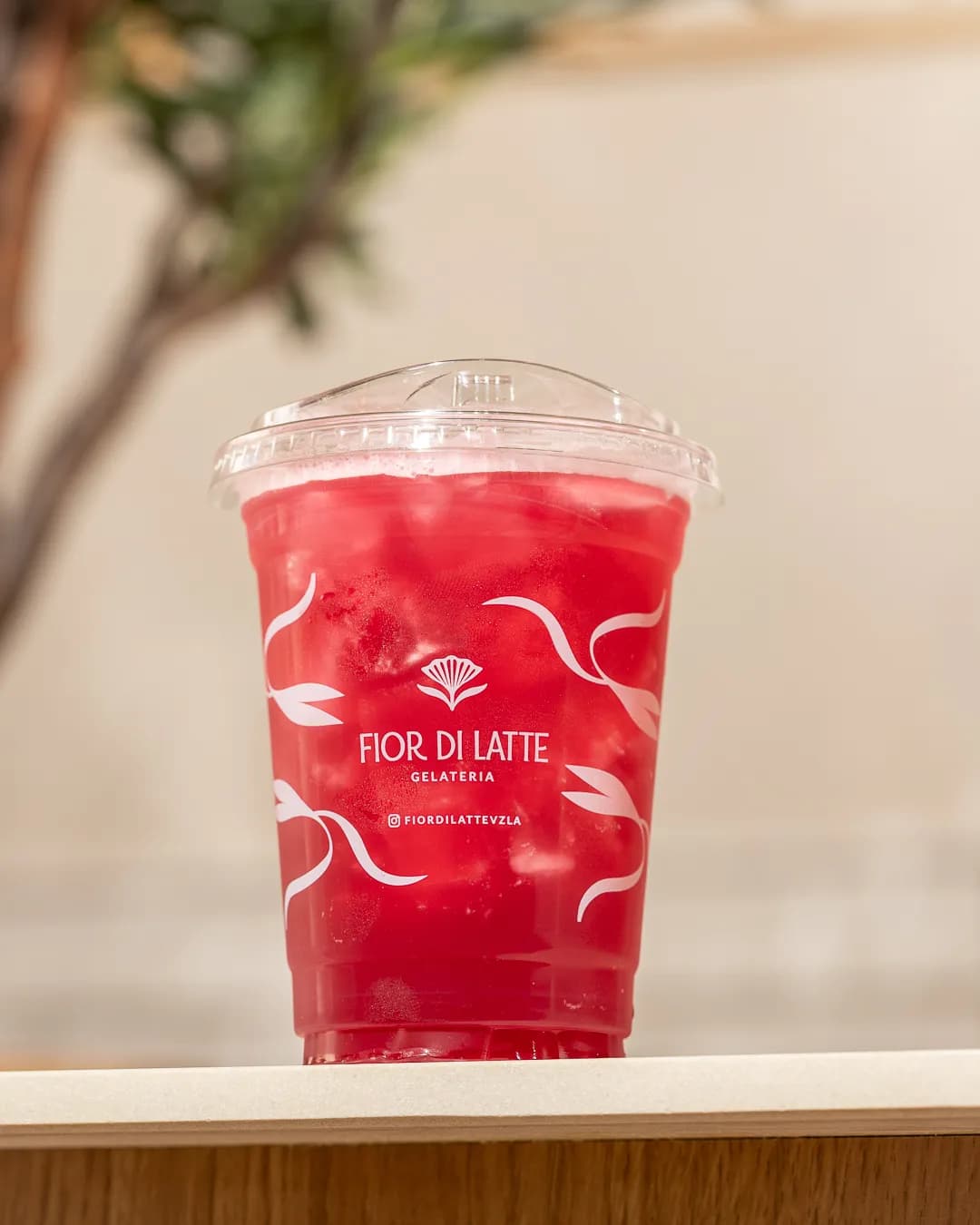 Fior Di Latte Gelateria